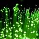 FTTH-uitrol FTTH-uitrol