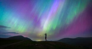 Wie belt met +31 435 69 02 07? Alles wat je moet weten over dit telefoonnummer